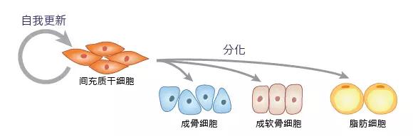 "微信圖片_20190215163455.jpg/