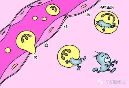 "微信圖片_20190719152508.jpg/