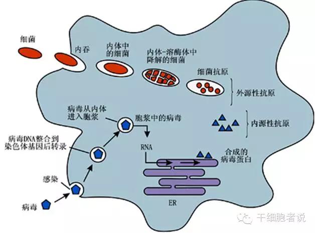 "微信圖片_20190719152512.jpg