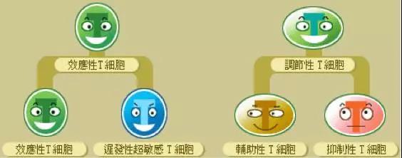 "微信圖片_20200402151501.jpg/