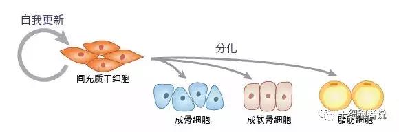 "微信圖片_20200515125552.jpg/