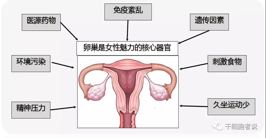 "微信圖片_20200715160701.jpg