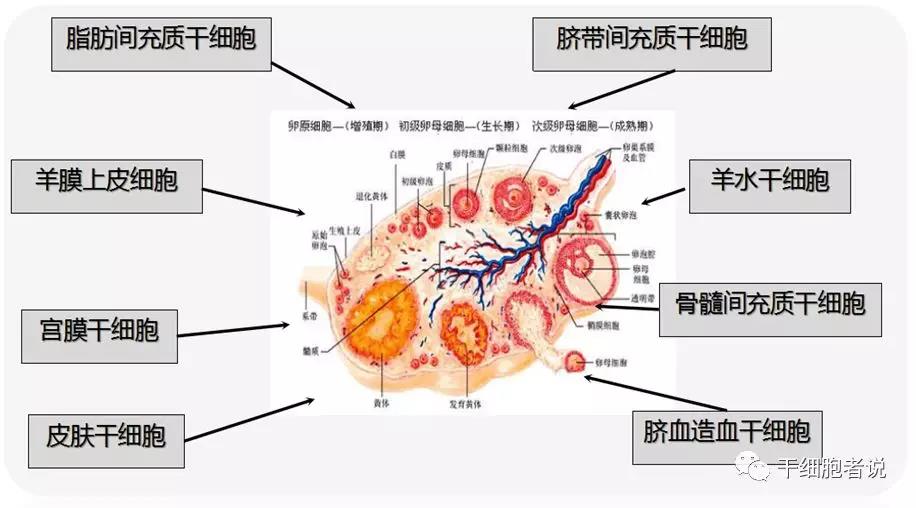 "微信圖片_20200715160705.jpg